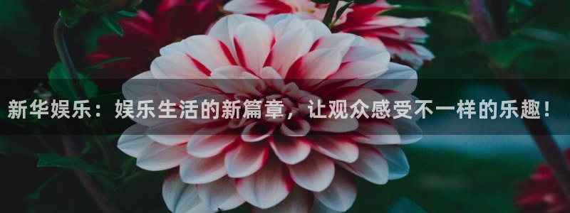 092000777美狮贵宾会：新华娱乐：娱乐生活的新篇章，让观众感受不一样的乐趣！