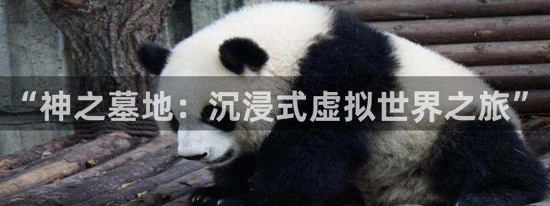 美狮贵宾会0924455：“神之墓地：沉浸式虚拟世界之旅”