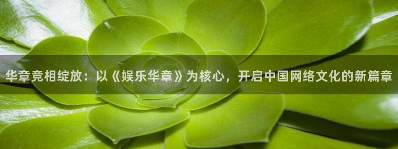 美狮贵宾会092268最新消息官网：华章竞相绽放：以《娱乐华章》为核心，开启中国网络文化的新篇章