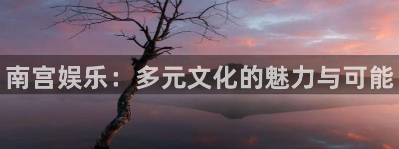 美狮贵宾会ms092021最新款报价及图片：南宫娱乐：多元文化的魅力与可能