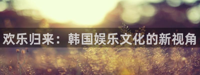 美狮贵宾会ms092021：欢乐归来：韩国娱乐文化的新视角