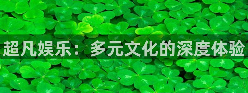 美狮贵宾会ms092021最新款报价及图片：超凡娱乐：多元文化的深度体验