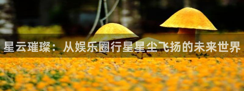 美狮贵宾会0924455：星云璀璨：从娱乐圈行星星尘飞扬的未来世界
