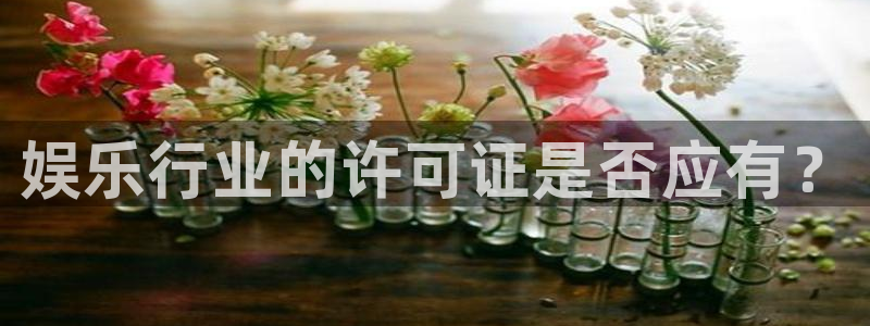 ms美狮贵宾会：娱乐行业的许可证是否应有？