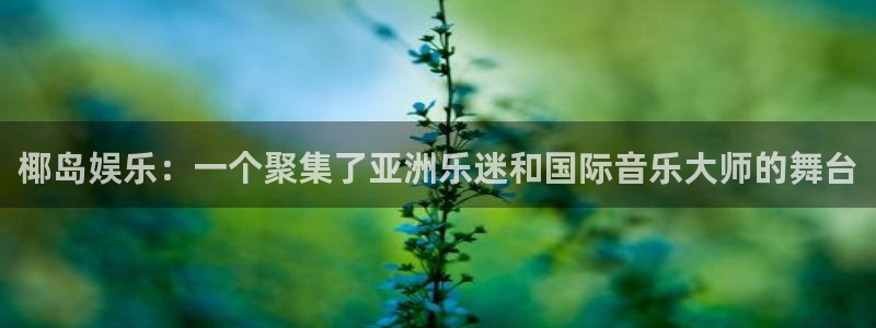 美狮贵宾会官网登录：椰岛娱乐：一个聚集了亚洲乐迷和国际音乐大师的舞台