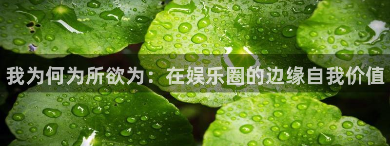 美狮贵宾会网页登陆：我为何为所欲为：在娱乐圈的边缘自我价值