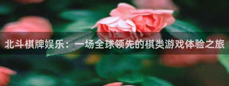 092000777美狮贵宾会：北斗棋牌娱乐：一场全球领先的棋类游戏体验之旅