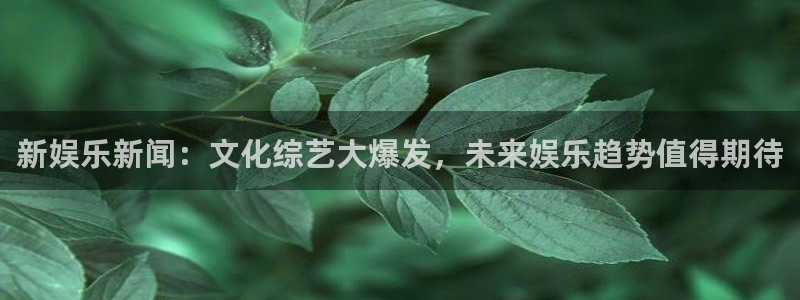 ms美狮贵宾会：新娱乐新闻：文化综艺大爆发，未来娱乐趋势值得期待